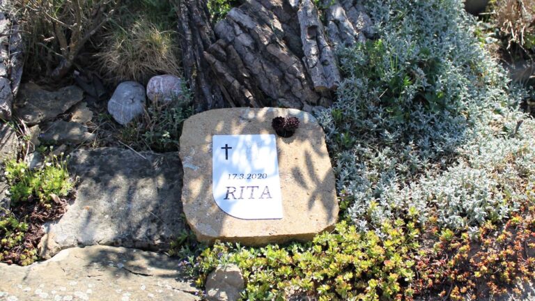 Zvireci nahrobky - Galerie