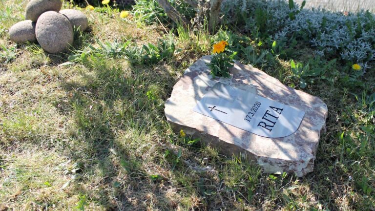 Zvireci nahrobky - Galerie