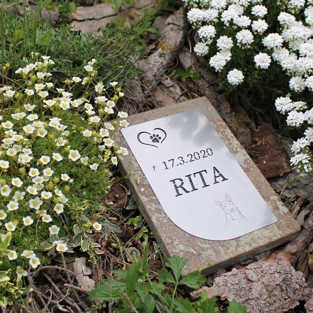 Zvireci nahrobky - Galerie