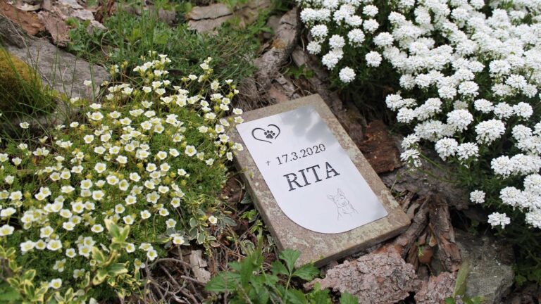 Zvireci nahrobky - Galerie