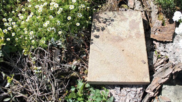 Zvireci nahrobky - Galerie