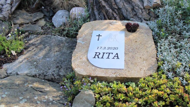 Zvireci nahrobky - Galerie