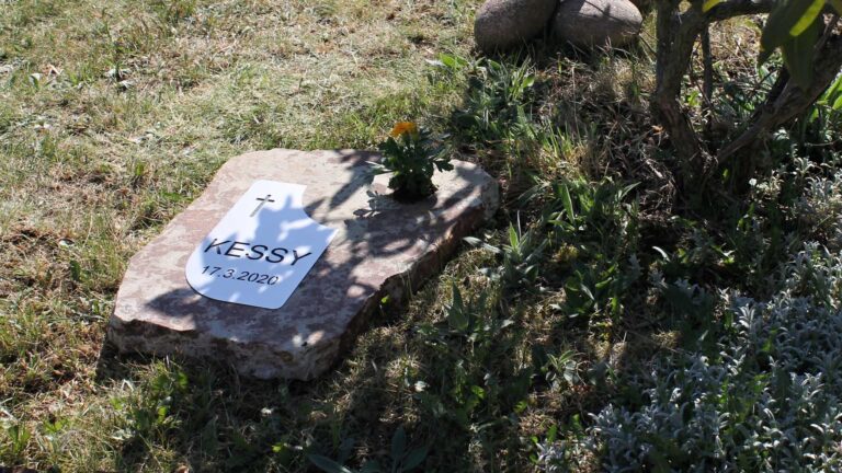 Zvireci nahrobky - Galerie