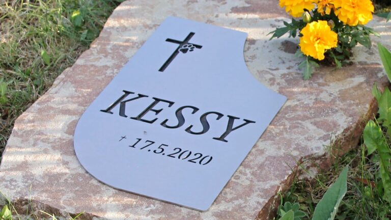 Zvireci nahrobky - Galerie