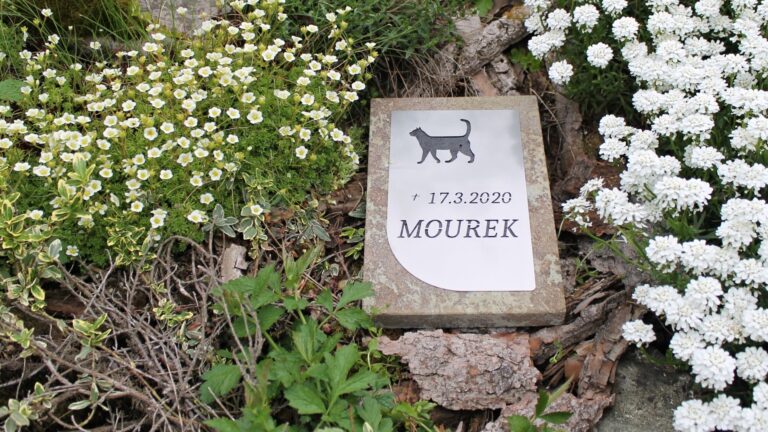 Zvireci nahrobky - Galerie