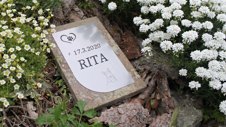 Zvireci nahrobky - Galerie