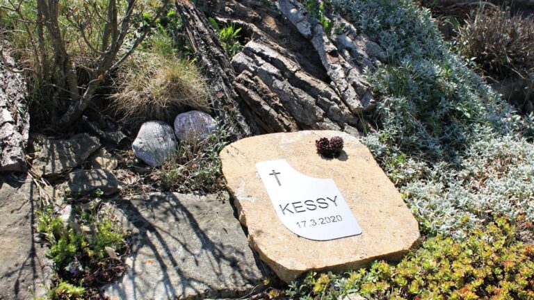 Zvireci nahrobky - Galerie