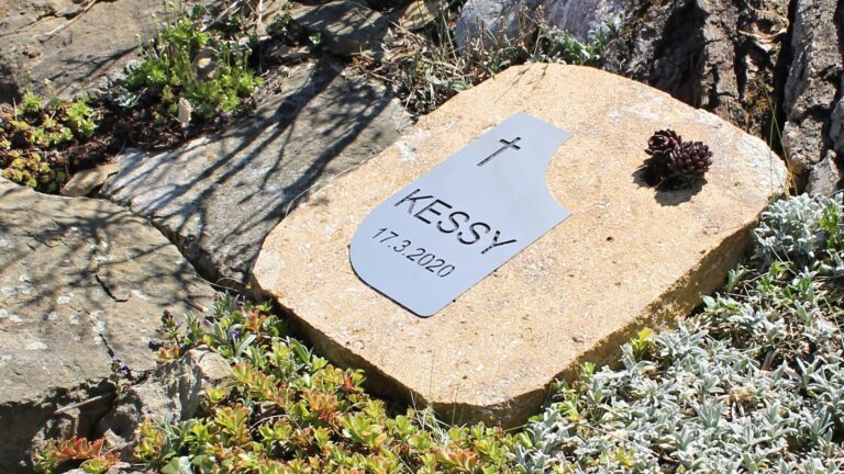 Zvireci nahrobky - Galerie