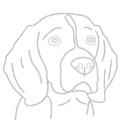 Gravírování - Bígl