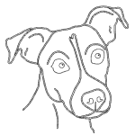 Gravírování Jack Russel