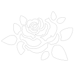 Gravírování Růže